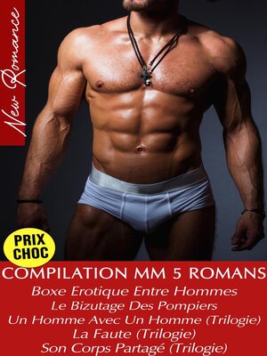 cover image of Compilation 5 Romans--Intégrale (Romances Gay)